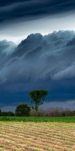 Nature,Trees,Clouds,Field,Storm,Landscape,Thunderstorm