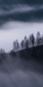 Nature,Arbres,Brouillard,Les Collines,Collines,Nuages