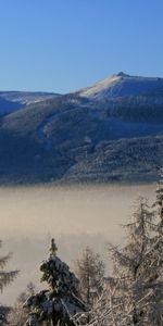 Nature,Trees,Clouds,Mountain,Height,Frost,Hoarfrost,Ate,Fog