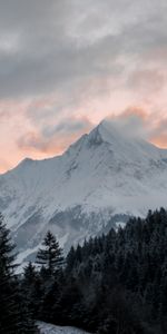 Naturaleza,Nubes,Montaña,Arriba,Bosque,Árboles,Vértice,Paisaje