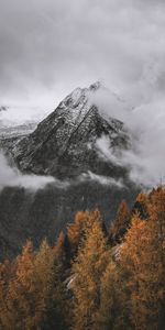 Nature,Trees,Clouds,Mountain,Vertex,Top