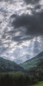 Nature,Nuages,Brouillard,Arbres,Montagnes