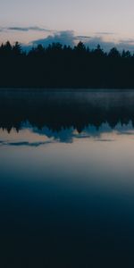 Naturaleza,Árboles,Crepúsculo,Nubes,Bosque,Oscuridad,Reflexión