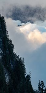 Naturaleza,Árboles,Roca,Montaña,Arriba,Nubes,Vértice