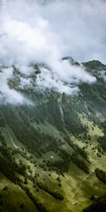 Brouillard,Pente,Roches,Arbres,Nuages,Les Rochers,Nature