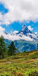 Nature,Trees,Clouds,Snow,Rock,Snow Covered,Snowbound,Slope