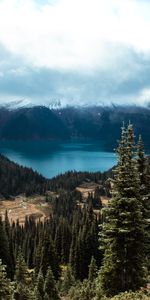 Nature,Trees,Clouds,Spruce,Fir,Dahl,Mountains,Distance