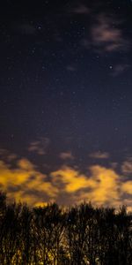 Nature,Nuages,Arbres,Nuit,Ciel Étoilé