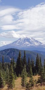 Naturaleza,Árboles,Nubes,Arriba,Las Colinas,Abeto,Volcán,Vértice,Colinas