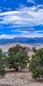 Nature,Trees,Dahl,Sky,Mountains,Distance