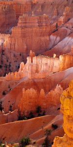 Naturaleza,Árboles,Desierto,Cañones