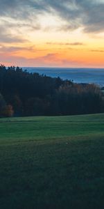 Nature,Trees,Dusk,Hills,Field,Twilight,Landscape