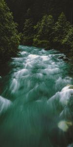 Nature,Trees,Flow,Rivers,Forest