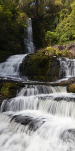 Nature,Trees,Flow,Waterfall,Landscape