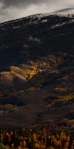 Nature,Brouillard,Élévation,Arbres,Plaine