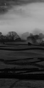 Naturaleza,Árboles,Niebla,Las Colinas,Bw,Colinas,Chb,Paisaje