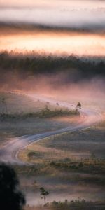 Naturaleza,Árboles,Camino,Niebla,Sinuoso,Devanado