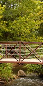 Nature,Trees,Forest,Bridge,Creek,Brook,Iron