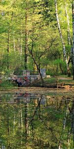 Nature,Trees,Forest,Bridge,Pond,Summer,Park,Surface,Stone,Leaves