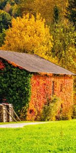 Edificio,Árboles,Otoño,Hierba,Naturaleza