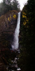 Naturaleza,Árboles,Hierba,Rotura,Flujo,Fluir,Musgo,Cascada,Precipicio