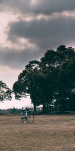 Nature,Trees,Grass,Clouds,Mainly Cloudy,Overcast,Glade,Polyana,Bicycle