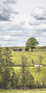 Nature,Nuages,Polyana,Arbres,Herbe,Clairière,Loger,Petite Maison,Été