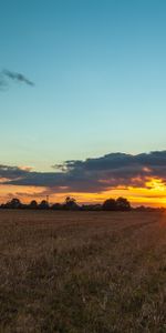 Herbe,Domaine,Champ,Nature,Arbres,Coucher De Soleil