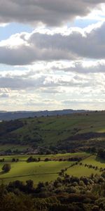 Nature,Trees,Grass,Height,Meadows,Slopes,Valley,Fields