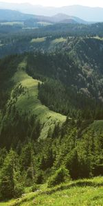 Herbe,Les Collines,Collines,Dahl,Distance,Nature,Forêt,Arbres