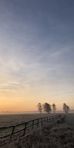 Naturaleza,Árboles,Hierba,Horizonte,Niebla,Subir,Campo,Cerco,Valla,Amanecer