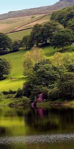 Nature,Trees,Grass,Lake,Greens,Slope,Houses