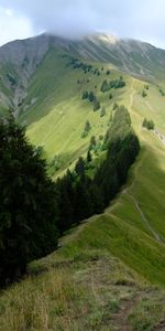 Herbe,Montagne,Cordillère,Nature,Arbres,Chaîne De Montagnes,Paysage