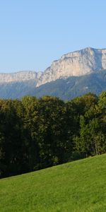 Nature,Trees,Grass,Mountain,Lawn,Greens