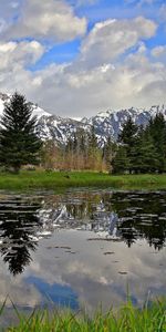 Montagne,Nature,Herbe,Arbres,Rivières