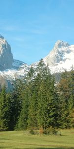 Nature,Herbe,Arbres,Montagnes,Alpes