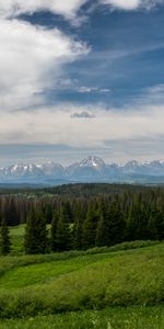 Nature,Trees,Grass,Mountains,Bush,Forest,Landscape