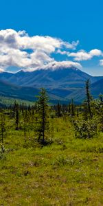 Nature,Trees,Grass,Mountains,Clouds,Spruce,Fir