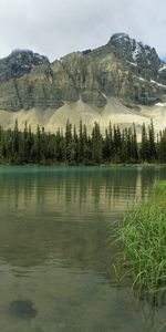 Nature,Trees,Grass,Mountains,Lake,Glacial Lake,Albert,Alberta,Canada