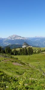 Nature,Trees,Grass,Mountains,Lawn