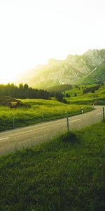 Nature,Trees,Grass,Mountains,Road,Sunlight,Landscape,Switzerland