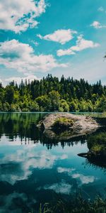 Herbe,Un Rocher,Arbres,Forêt,Pierre,Nature,Rivières