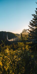 Nature,Trees,Grass,Rocks,Bridge