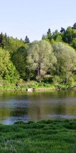 Herbe,Rive,Banque,Arbres,Nature,Rivières