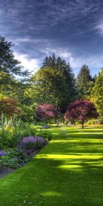 Nature,Trees,Grass,Sky,Chains,Vegetation,Lawn,Fencing,Garden,Enclosure