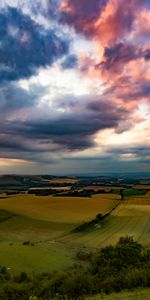 Naturaleza,Hierba,Cielo,Nubes,Árboles,Campo