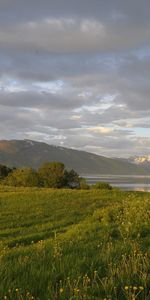 Naturaleza,Hierba,Cielo,Nubes,Verduras,Verano,Orilla,Banco,Árboles