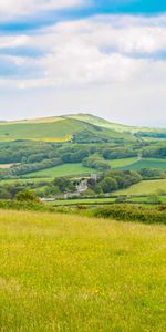 Colline,Nature,Herbe,Domaine,Champ,Arbres,Sky