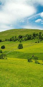 Nature,Trees,Grass,Sky,Meadows,Slopes,Valley