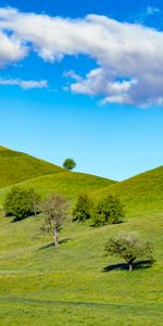 Arbres,Nature,Colline,Herbe,Sky,Chemin